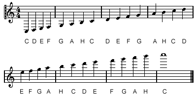 Die Stammtonreihe im Violinschlüssel